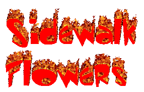 sidewalkflowers